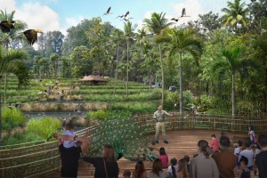  Artists’ illustration of the lower pavilion of Wings of Asia, an aviary inspired by the rice fields and bamboo groves of Southeast Asia. Here, visitors have the opportunity to observe birds feeding or participate in interactive sessions.