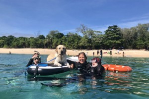 Frankland Island Cruises with guide dog Ringo credit Cocky Guides (credit: TEQ).