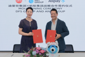 DFS and Ant Group Partnership